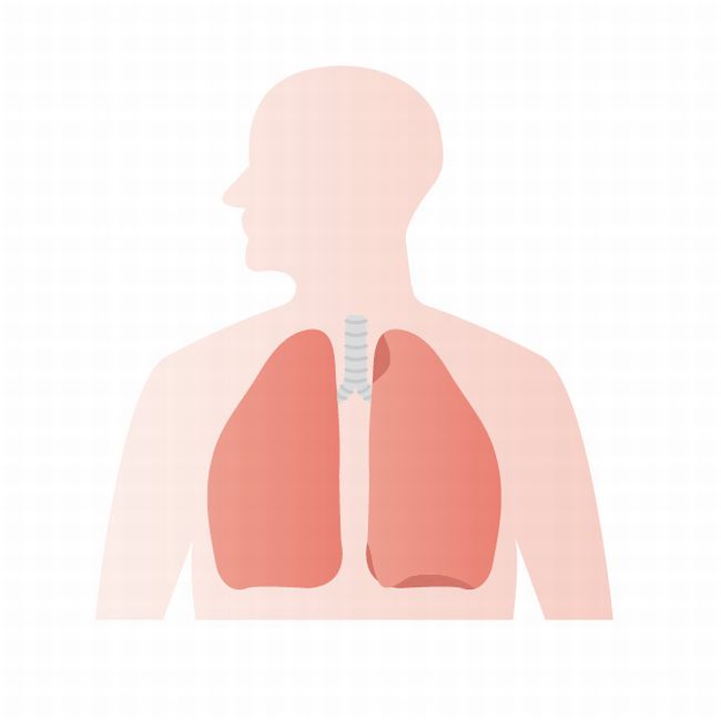 腹式呼吸の5つの効果とは？肺の健康やダイエットにもメリットがあった！