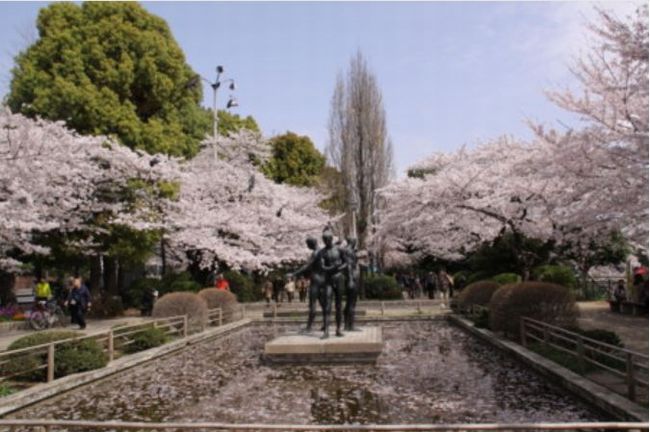 広島の桜の時期はいつからいつまで？開花予想＆見頃2015