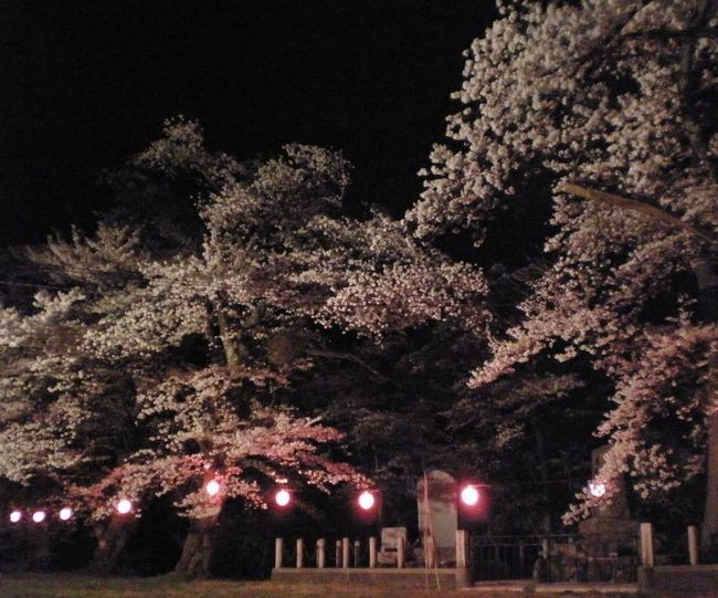 兵庫 桜の名所ランキング2015！オススメ花見スポットはどこ？