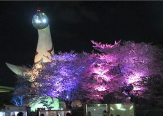 大阪の桜 ライトアップされる名所・穴場は？夜桜が楽しめる時間は何時まで？