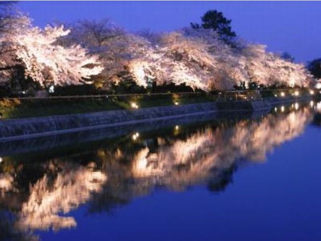 京都 桜 2015の見頃はいつ？早咲き～遅咲きまで完全網羅（3月中旬～5月）