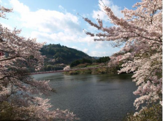 【奈良】桜の名所と穴場！夜桜のオススメはどこ？