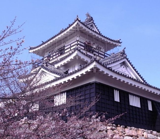静岡の桜と富士山を同時に見られるスポットは？花見オススメ2015
