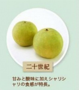 幸水二十世紀梨豊水違い比較赤梨青梨価格味特徴