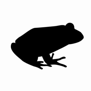 イモリヤモリ簡単見分け方