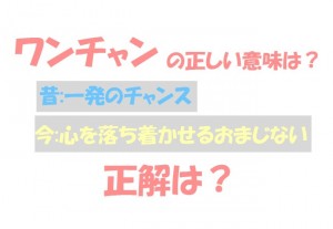 ワンチャンの正しい意味と使い方 うのたろうブログくろおと