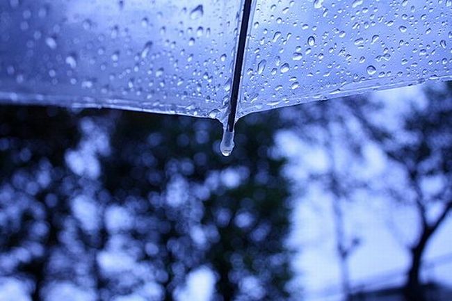 2015今年の梅雨入り 梅雨明けはいつ？│定義や基準をわかりやすく解説