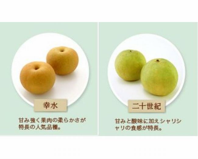 梨「幸水」「二十世紀梨」「豊水」の違いは？価格差は？味の特徴は？どっちがオススメ？